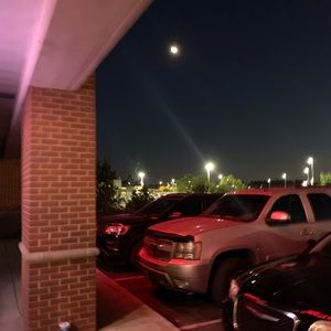 Meet your Posher, Esme